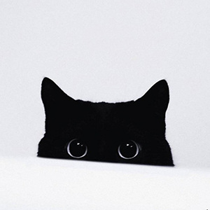 Cristina Boboc's profile picture