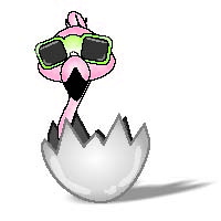 squirtle_nadz's profile picture