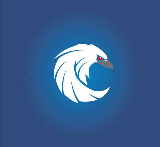 3dcrowstudio's profile picture