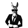 designguy82