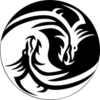 NightDesigns