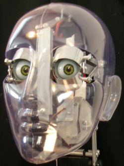 Leanlines's profile picture