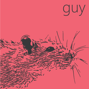 guy's profile picture