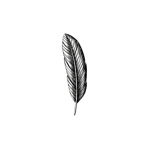 brainessteinart's profile picture