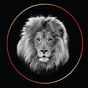 zacksaj's profile picture