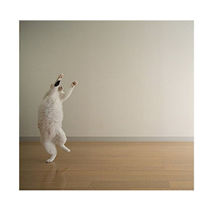 lazyyy's profile picture