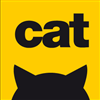 Yellow Cat Design