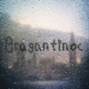 bragantinoc