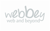 Web and Beyond