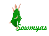 Sdesigns