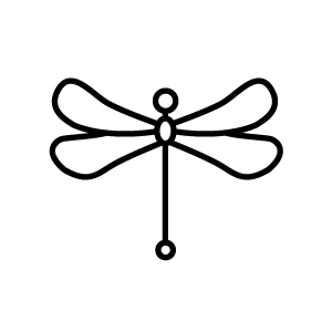 Dare to Fly's profile picture
