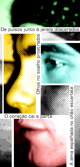 Rafael's profile picture