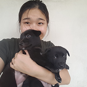 Sharon Chiam's profile picture