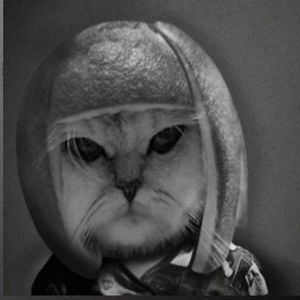n0cutnrald3sign's profile picture
