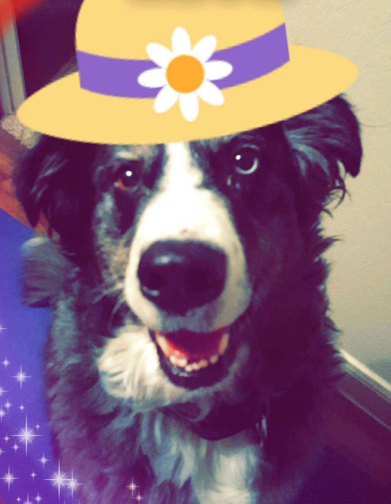 FreeCreationHouse's profile picture