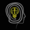 Mr Idea
