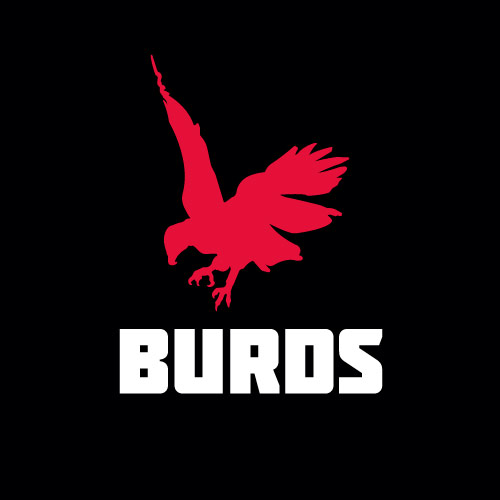 Burds's profile picture