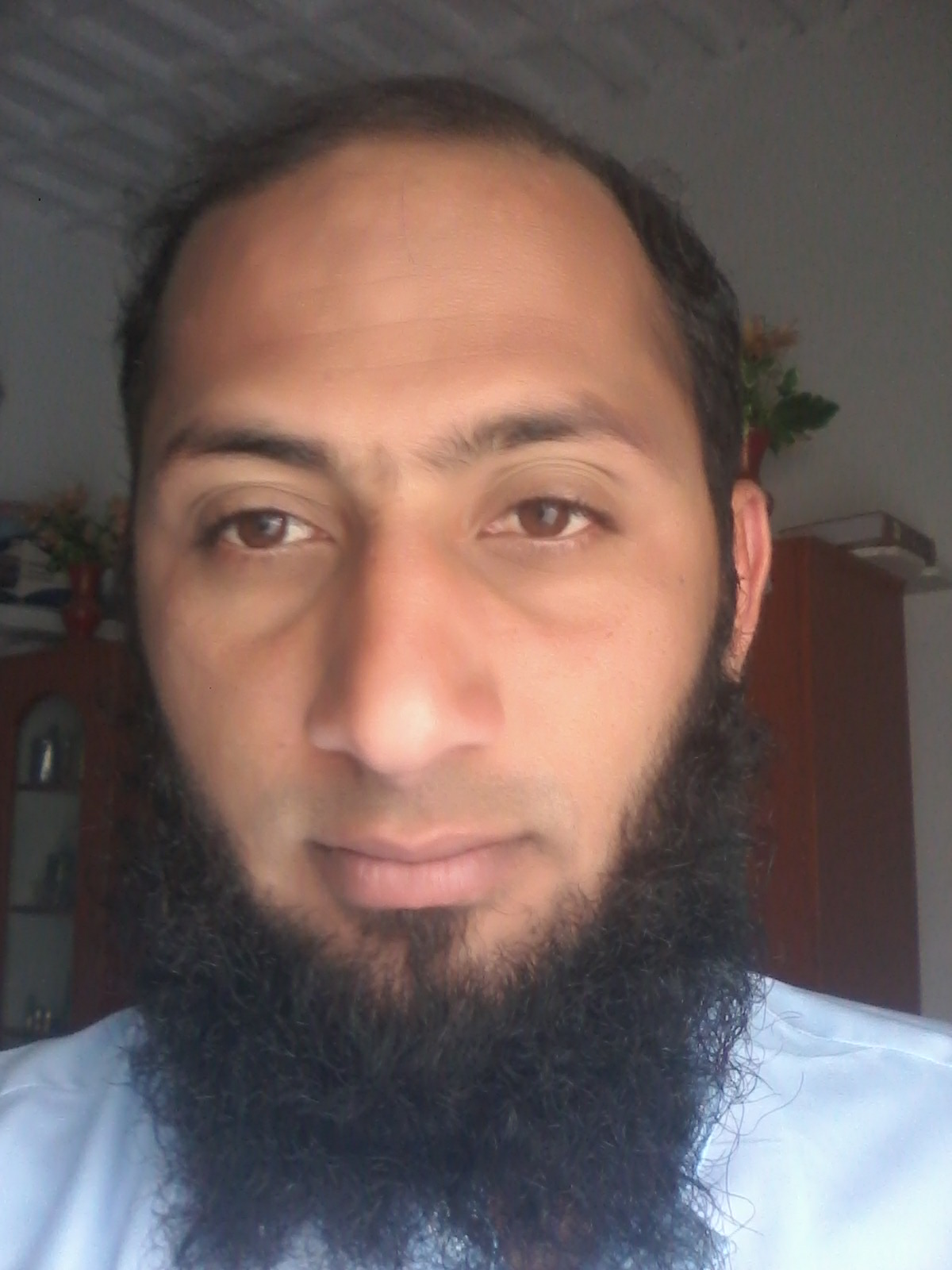 msaifstar's profile picture