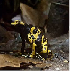 e.fakin3's profile picture