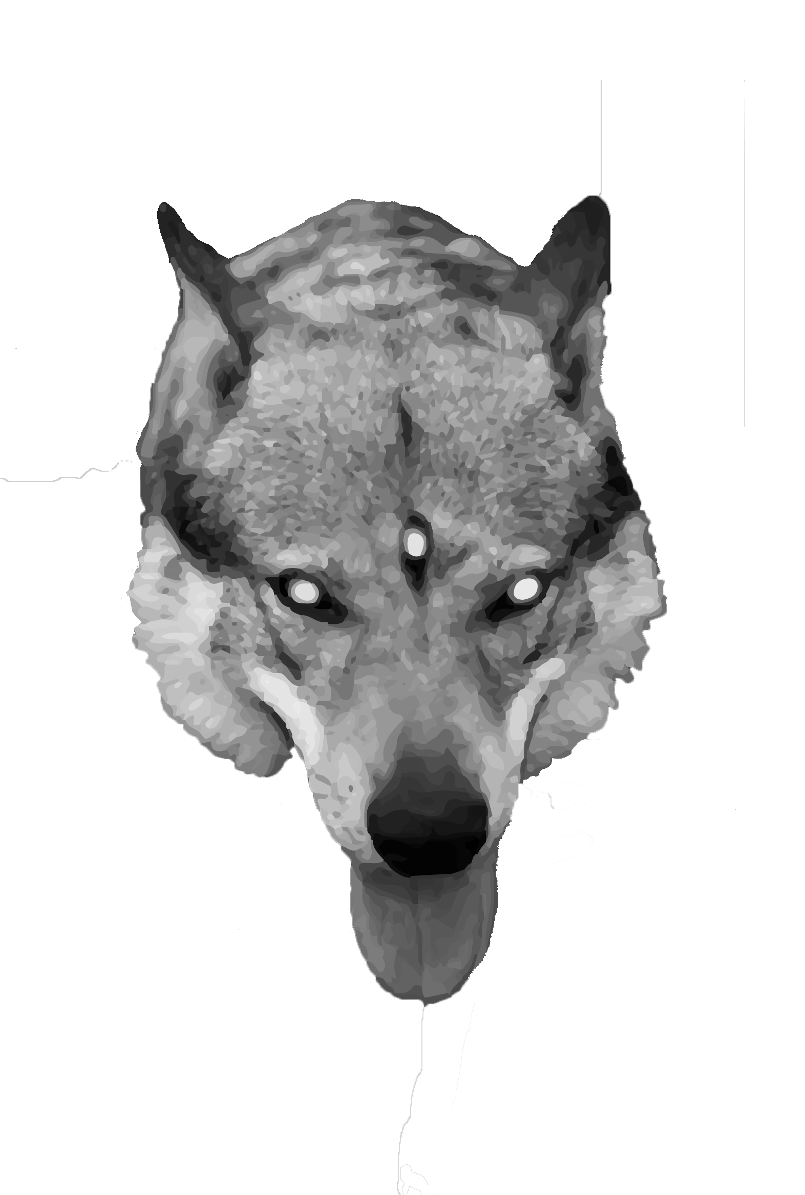 Guacquin's profile picture