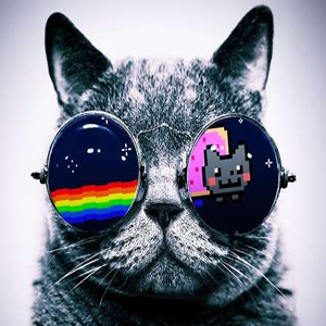 ShiwaDesigns's profile picture