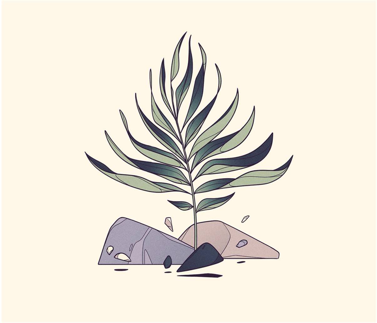 HzK Designs's profile picture
