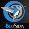 BluSilva ArtDesign