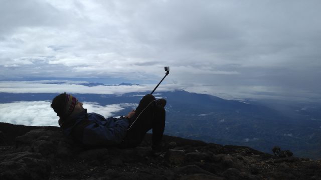Tukang Angon Kebo's profile picture