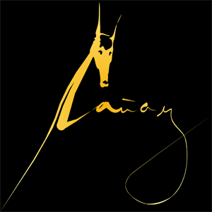dobergold's profile picture