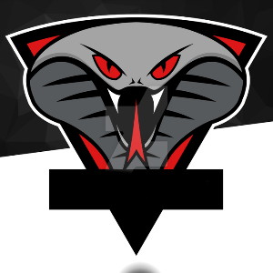 ansdesign's profile picture
