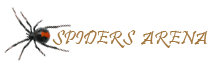 Spiders Arena LLC's profile picture