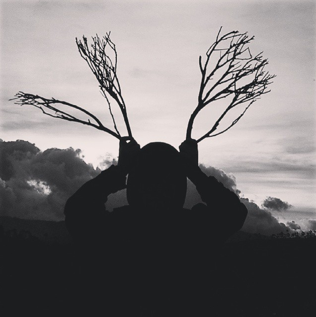firdausanisaa's profile picture