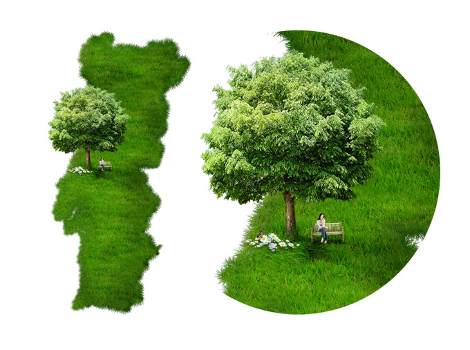 Celsius's profile picture