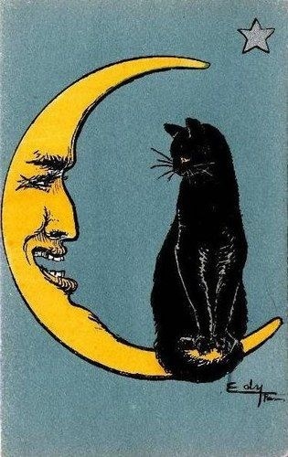 brookfaye8's profile picture