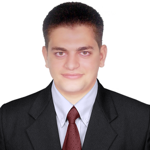 Hesham Hamouda's profile picture