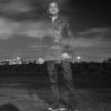 moe.habet