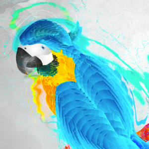 Red Data's profile picture