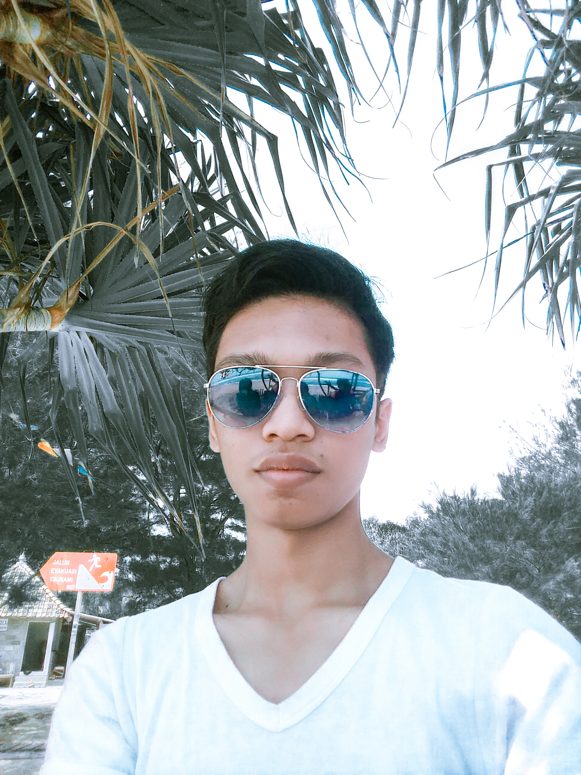 arihalden's profile picture