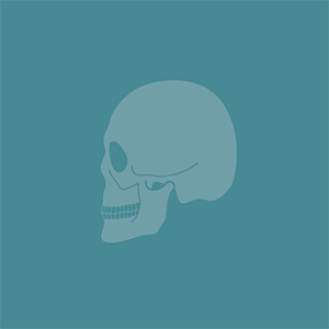 ldhb's profile picture