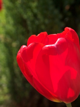 Hillary Maples's profile picture