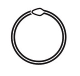 Linn's profile picture