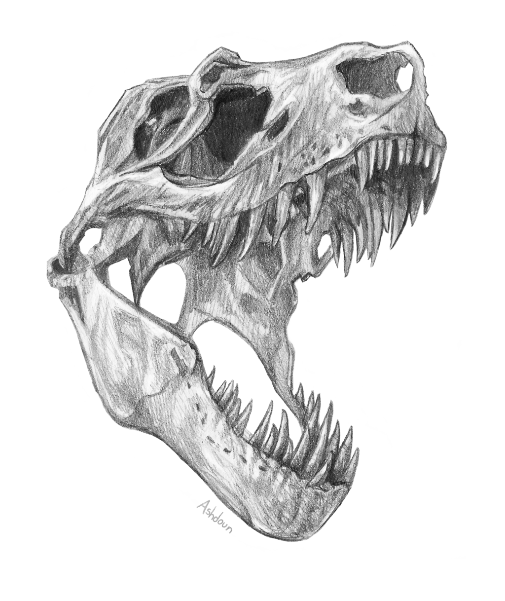Dino Design's profile picture