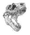 Dino Design