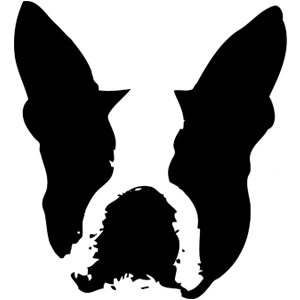 Ahoy Boston's profile picture