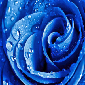 SaadDesign's's profile picture