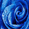 SaadDesign's