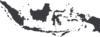 NKV
