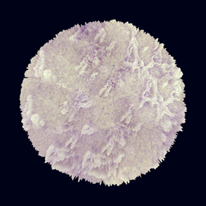 JaredINTHESKY's profile picture