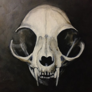 Theo.D's profile picture