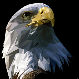 xAPx's profile picture